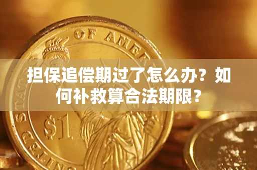 济南担保追偿期过了怎么办？如何补救算合法期限？